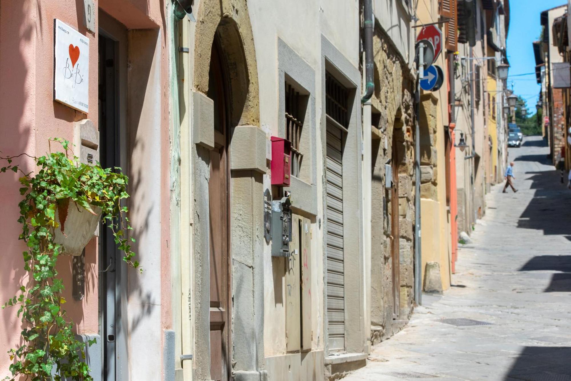 Bibi Boutique Arezzo Living Suite Rosafragola & Verdeconiglio Εξωτερικό φωτογραφία